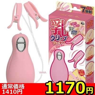 yPPVO~ʌzNbv[^[@isNjllP_聄iij